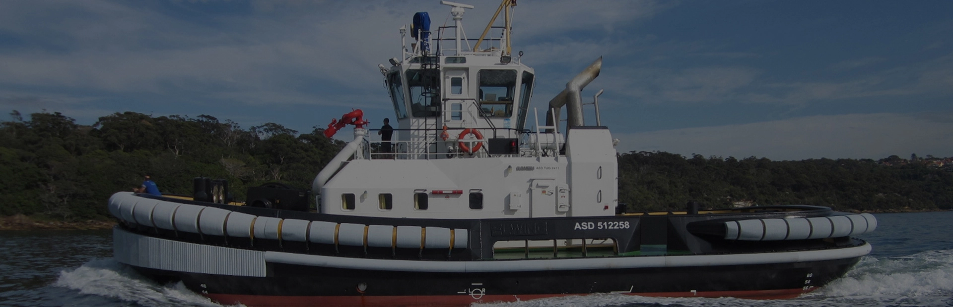 Défense en caoutchouc type D - Protection marine fiable fabriquée en Chine
